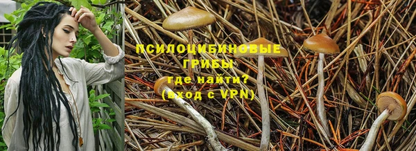 прущий лед Абдулино